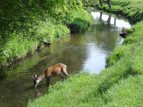 Beverley