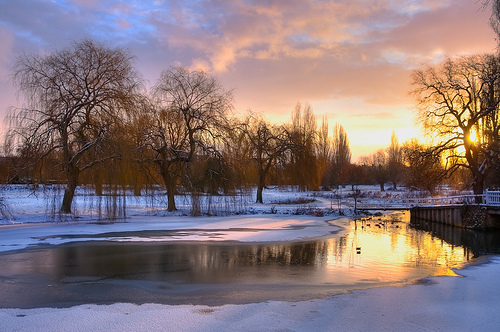 Cambridge