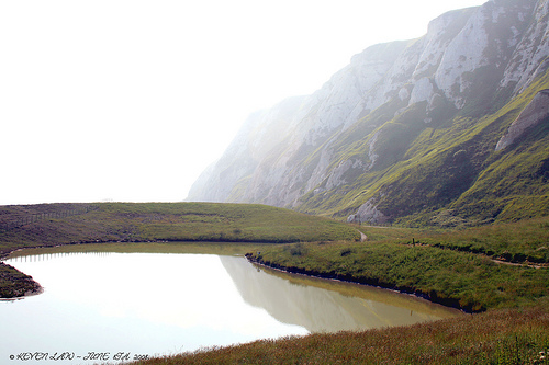 Dover